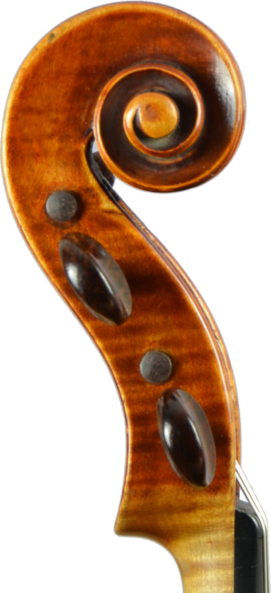 Geige mit Zettel "de Zorzi", Schnecke Seitenansicht